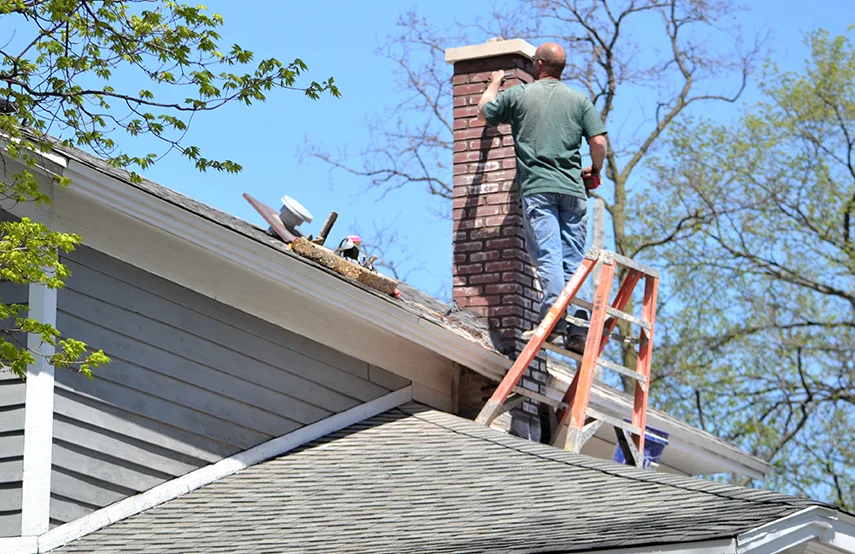 Chimney & Fireplace Inspections Services in Carson City, NV